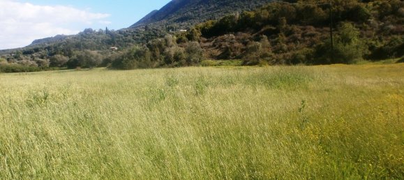 Hotel in Thesprotia, Greece 23000m², Nr. 6292 5