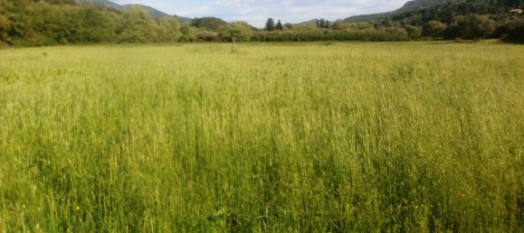 Hotel in Thesprotia, Greece 23000m², Nr. 6292 6