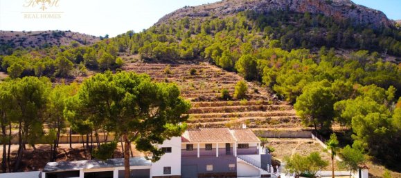 Дом с 6 спальнями в Аликанте, Испания № 89720 2