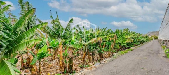 3 bedrooms Villa in Adeje, Spain No. 16421 8