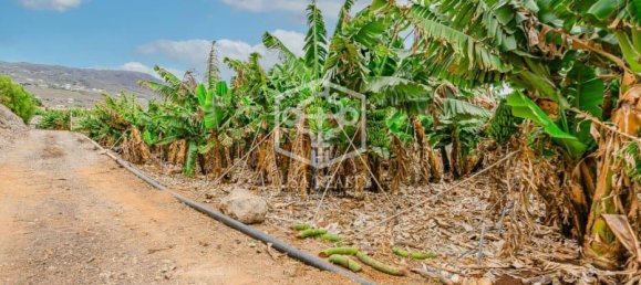 3 bedrooms Villa in Adeje, Spain No. 16421 7