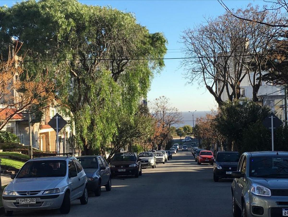  Commercial property in Montevideo, Uruguay No. 13537