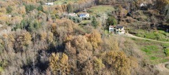 Casa T2 em Coreglia Antelminelli, Italy N.º 234575 14