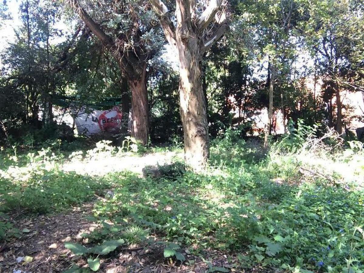  Land in Moreno, Argentina No. 44465