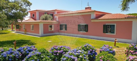 5 bedrooms Castles in Benavente, Portugal No. 29416 2