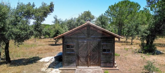 5 bedrooms Castles in Benavente, Portugal No. 29416 18