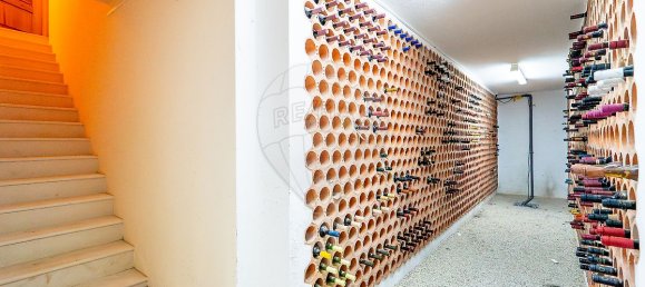 5 bedrooms Castles in Benavente, Portugal No. 29416 15