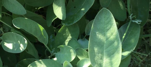  Land in Furstenfeldbruck, Germany No. 355985 2