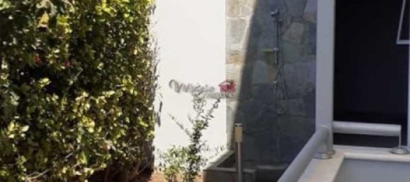 5 bedrooms Commercial property in Agios Athanasios, Cyprus No. 19646 4