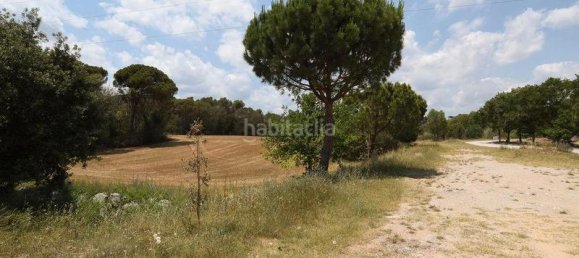 Terreno en Llica De Vall, Spain 83919 m² No. 159886 4