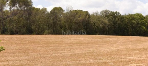 Terreno en Llica De Vall, Spain 83919 m² No. 159886 15