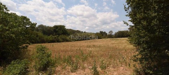Terreno en Llica De Vall, Spain 83919 m² No. 159886 9