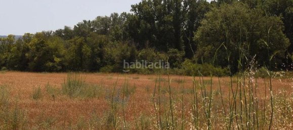 Terreno en Llica De Vall, Spain 83919 m² No. 159886 11