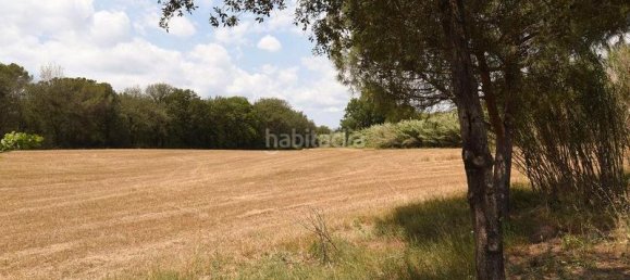 Terreno en Llica De Vall, Spain 83919 m² No. 159886 14