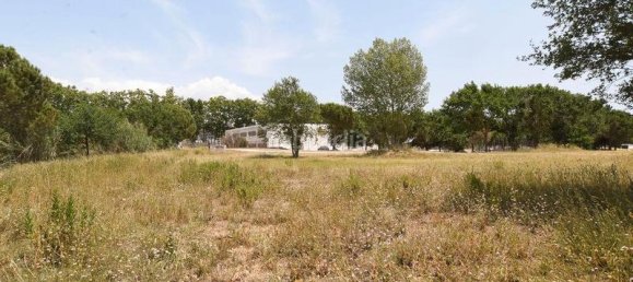 Terreno en Llica De Vall, Spain 83919 m² No. 159886 13