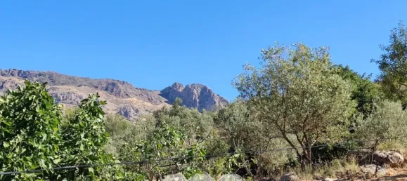 Casa T4 em Alcaucin, Spain N.º 51541 36