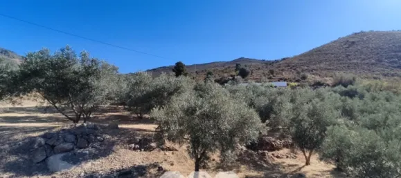 Casa T4 em Alcaucin, Spain N.º 51541 49