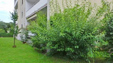 Apartamento de 3 habitaciónes en Feldbach, Austria No. 112035