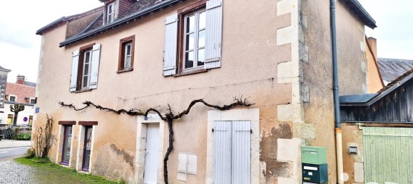 4-Zimmer Gewerbliche Immobilie in Mezieres-en-Brenne, France, Nr. 227618 11