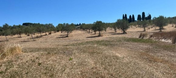 12 bedrooms House in Casciana Terme Lari, Italy No. 316788 33