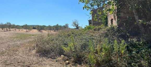 12 bedrooms House in Casciana Terme Lari, Italy No. 316788 43