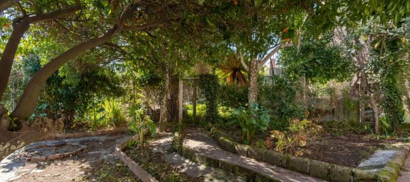 4 rooms Villa in Procida, Italy No. 128524 14