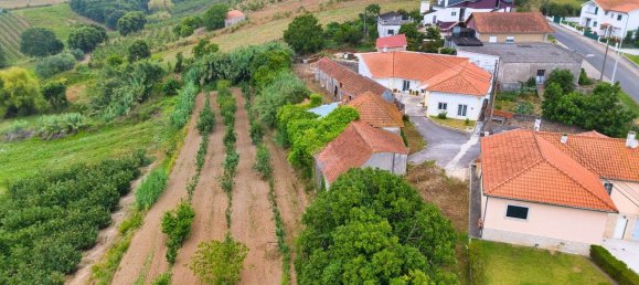 2 Schlafzimmer Haus in Santa Catarina, Portugal, Nr. 185689 21