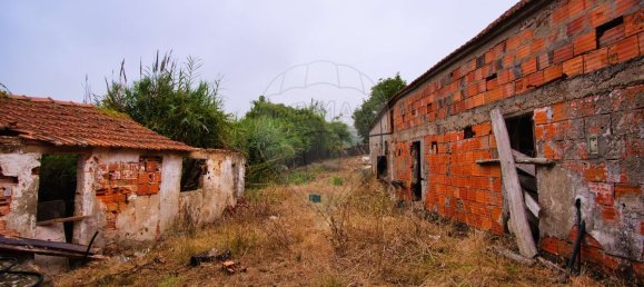 2 Schlafzimmer Haus in Santa Catarina, Portugal, Nr. 185689 27