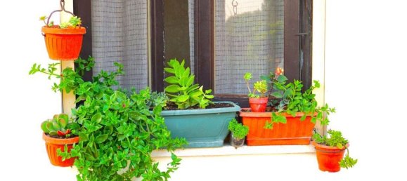 3-salle Appartement à Pontedera, Italy No. 293020 5