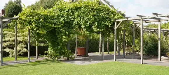 6-Zimmer Bauernhof in Cuxhaven, Germany, Nr. 286670 32