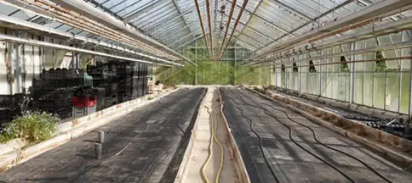 6-Zimmer Bauernhof in Cuxhaven, Germany, Nr. 286670 27