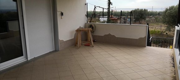 3 Schlafzimmer Gewerbliche Immobilie in Polygyros, Greece, Nr. 5256 5