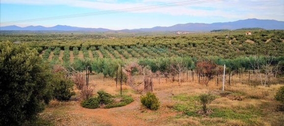 3 Schlafzimmer Gewerbliche Immobilie in Polygyros, Greece, Nr. 5256 29