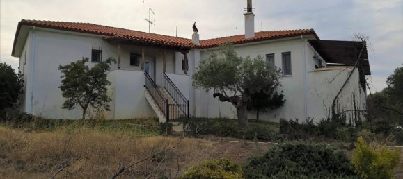 3 Schlafzimmer Gewerbliche Immobilie in Polygyros, Greece, Nr. 5256 28