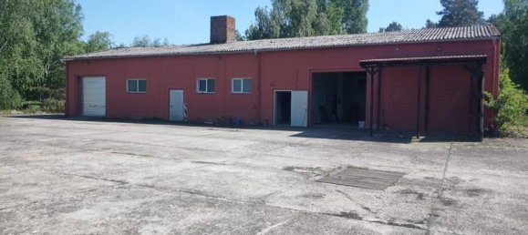 Коммерческая недвижимость 835м² в Пригниц, Германия № 97411 2
