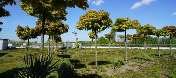 Imóvel comercial em Recklinghausen, Germany 7060 m² N.º 177778 4