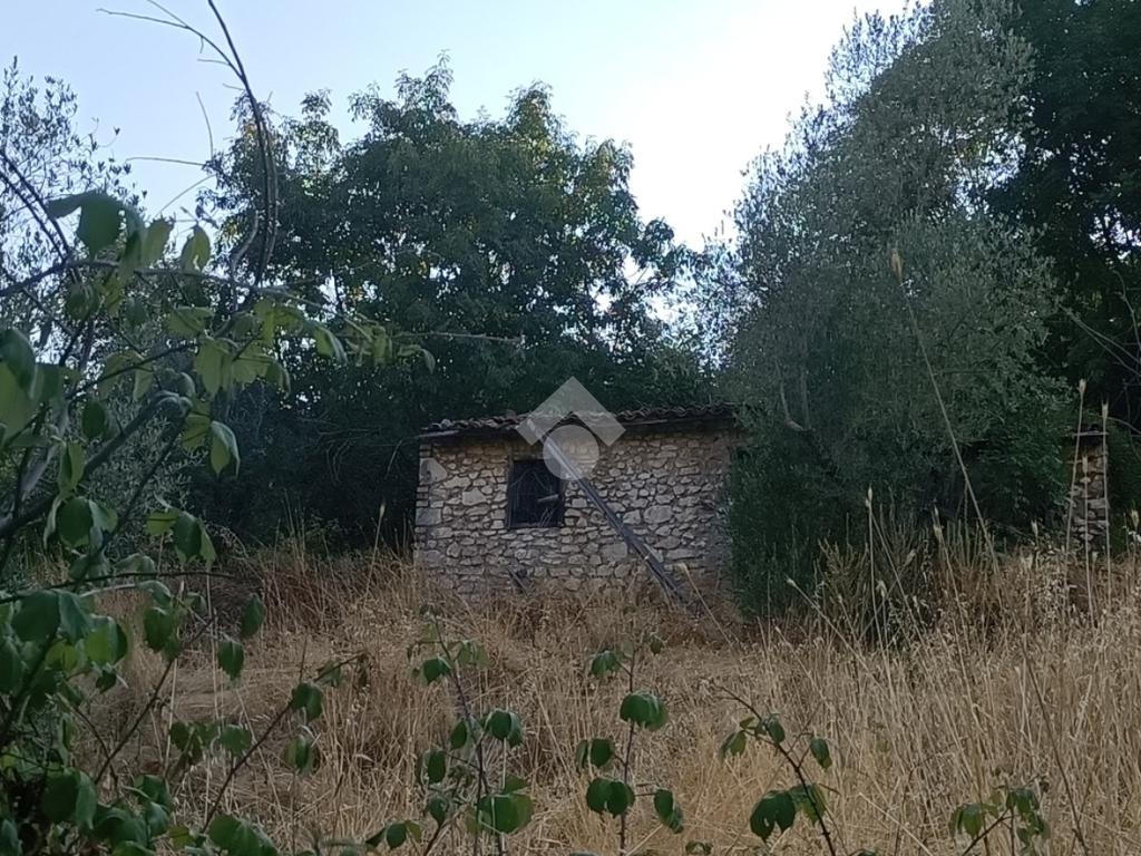 3000m² Land in Segni, Italy No. 385995