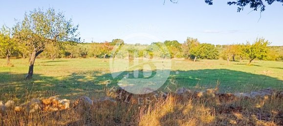 4 bedrooms Villa in Ostuni, Italy No. 156582 6