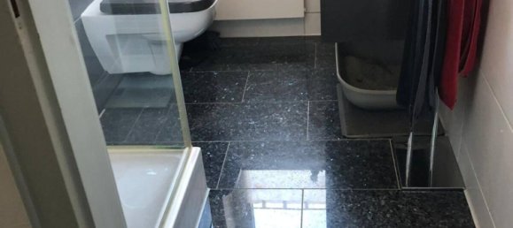 Таунхаус с 9 комнатами в Дуйсбург, Германия № 8947 15