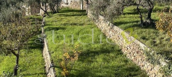 8 rooms Villa in Seborga, Italy No. 92224 15