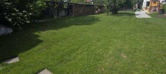 5 rooms House in Fels am Wagram, Austria No. 145558 2