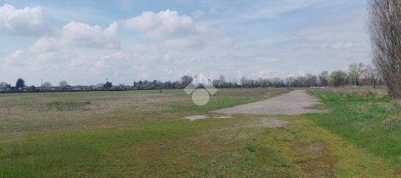 50681m² Land in Dello, Italy No. 2205 7