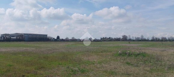 50681m² Land in Dello, Italy No. 2205 8
