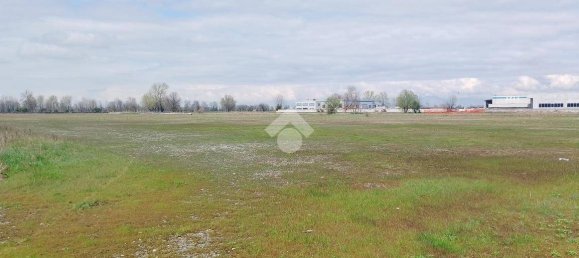 50681m² Land in Dello, Italy No. 2205 5