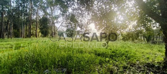  Land in Quarteira, Portugal No. 190561 8