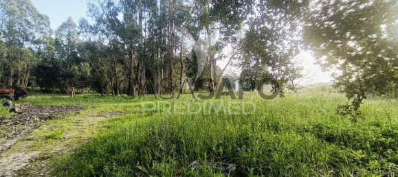  Land in Quarteira, Portugal No. 190561 6