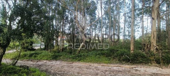  Land in Quarteira, Portugal No. 190561 13