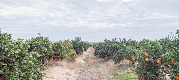 2 Schlafzimmer Haus in Rojales, Spain, Nr. 185162 39