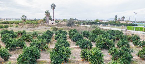 2 Schlafzimmer Haus in Rojales, Spain, Nr. 185162 26