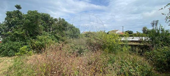 3 Schlafzimmer Haus in Lajes, Portugal, Nr. 45331 3